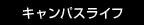 LpXCt